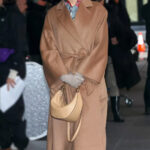 Babygirl-Nicole-Kidman-Brown-Coat-2_9fcabd0e-e2ce-40ec-b3ee-0736f59f754a