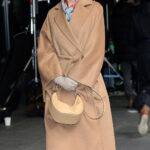 Babygirl-Nicole-Kidman-Brown-Coat-2_9fcabd0e-e2ce-40ec-b3ee-0736f59f754a